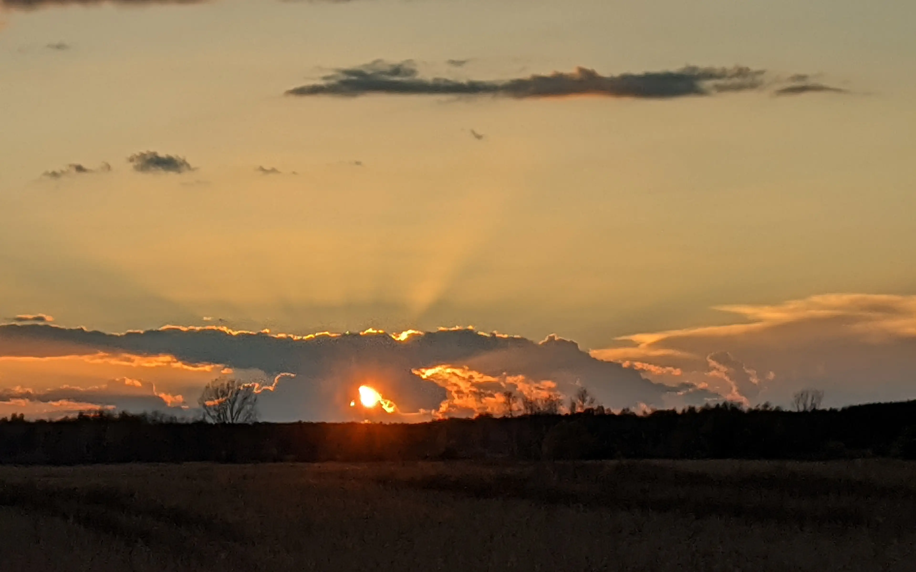 PXL_20201023_215223460.NIGHT