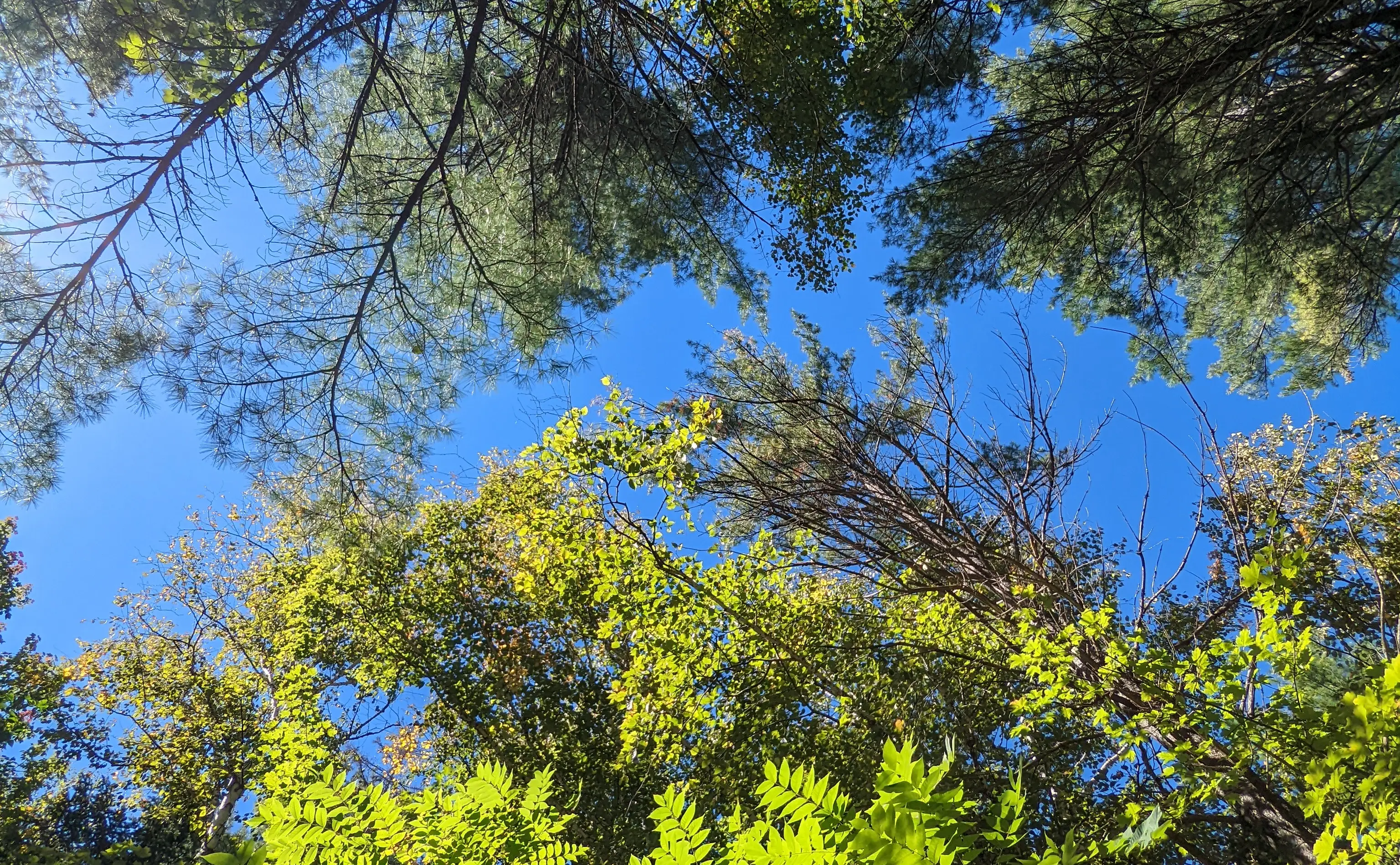 PXL_20220924_161754781