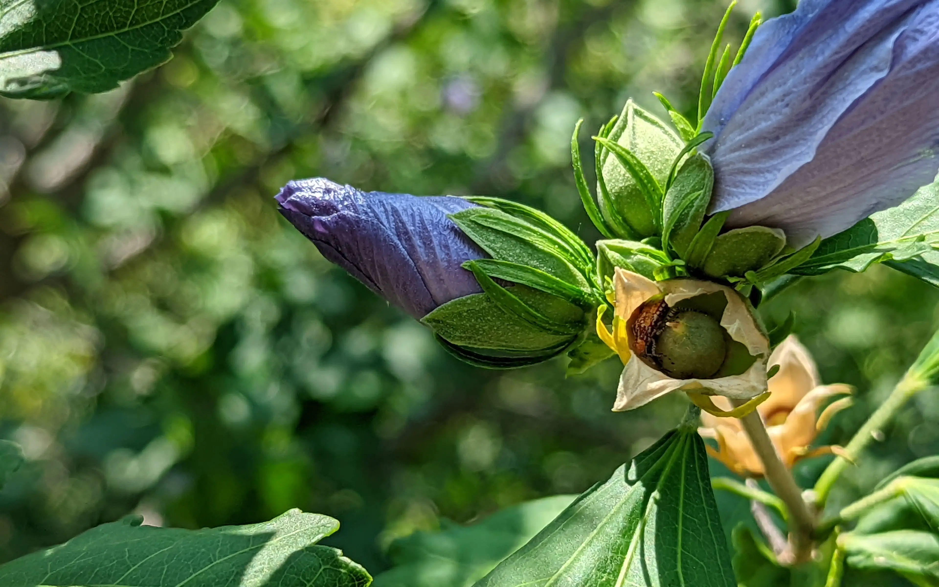 PXL_20220622_172619560