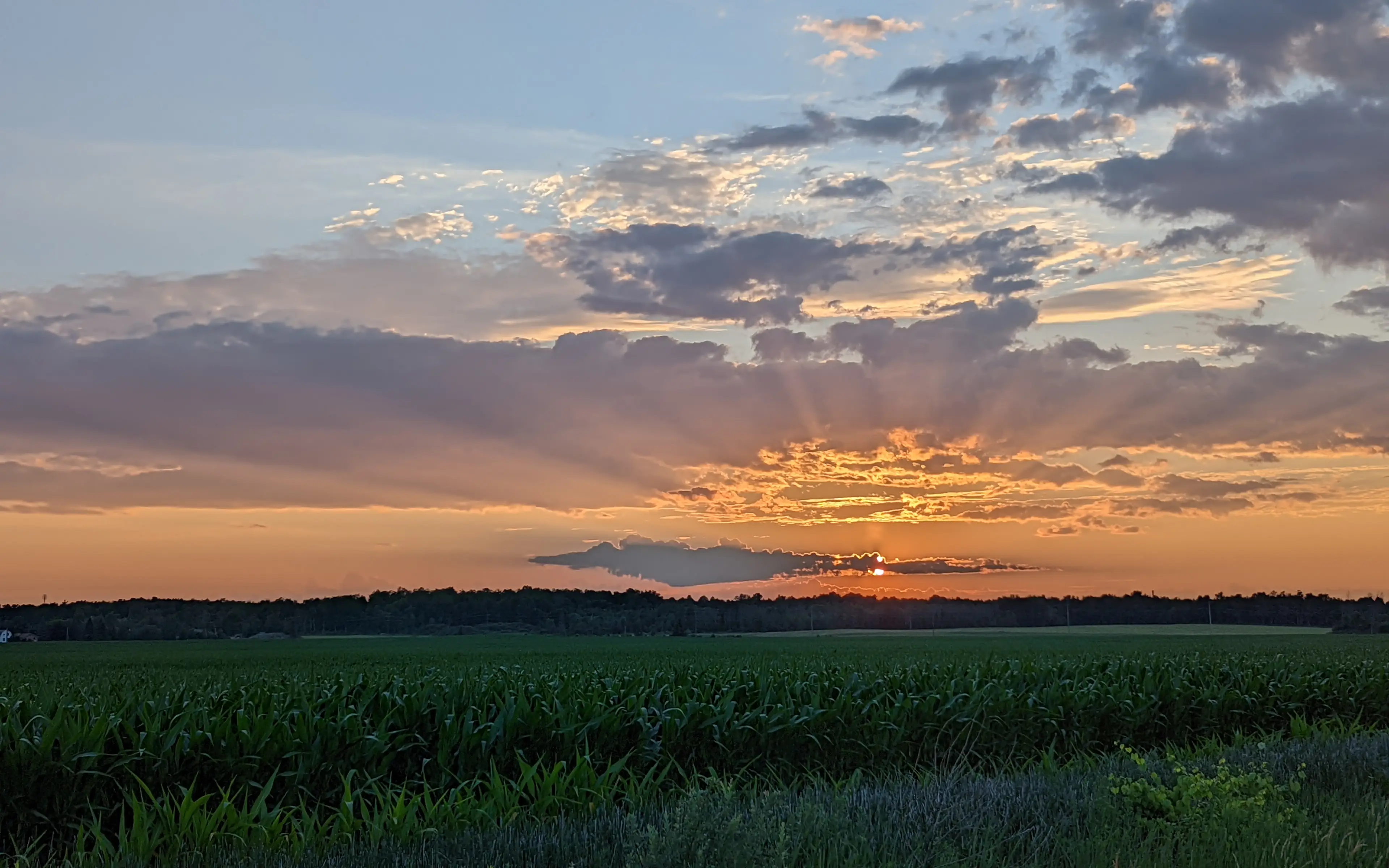 PXL_20220711_003238690.NIGHT