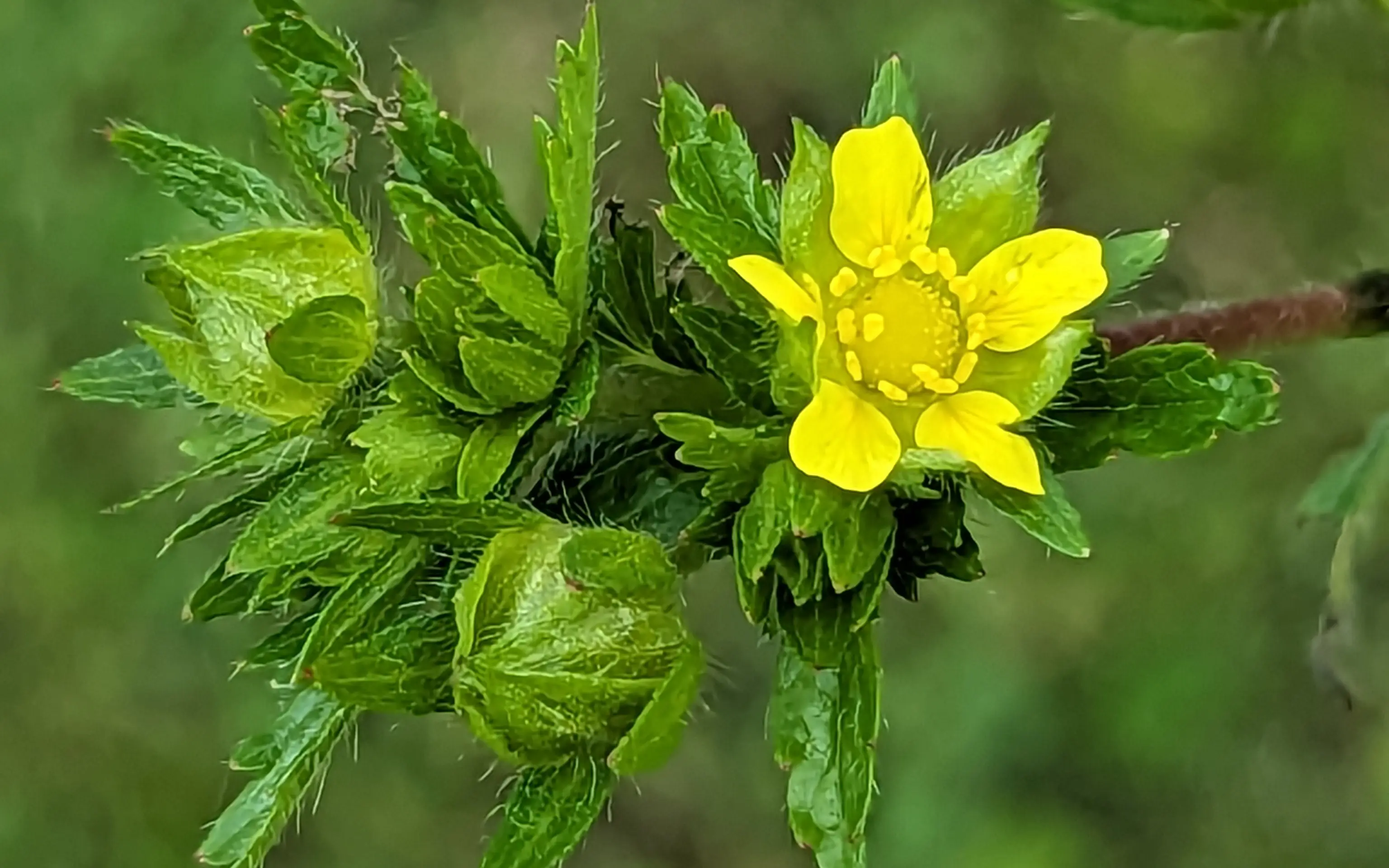 PXL_20230713_202258646