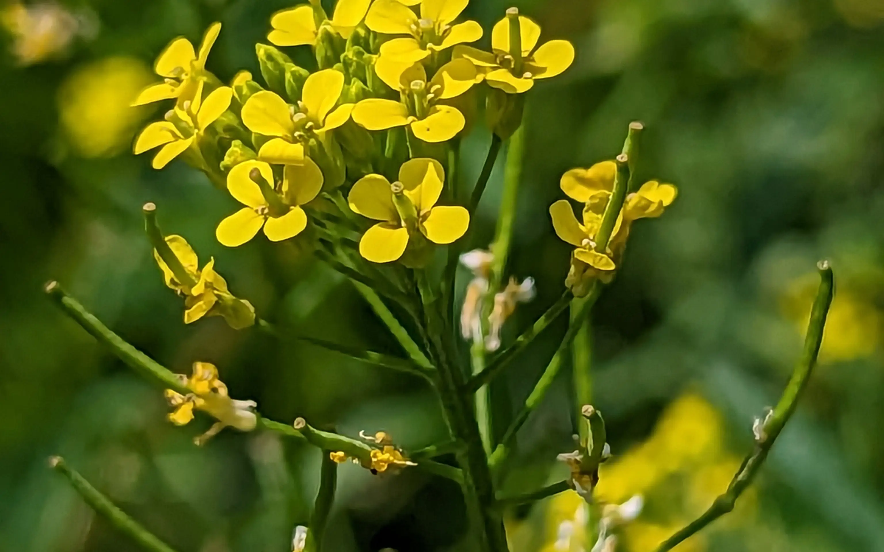 PXL_20230706_170117885