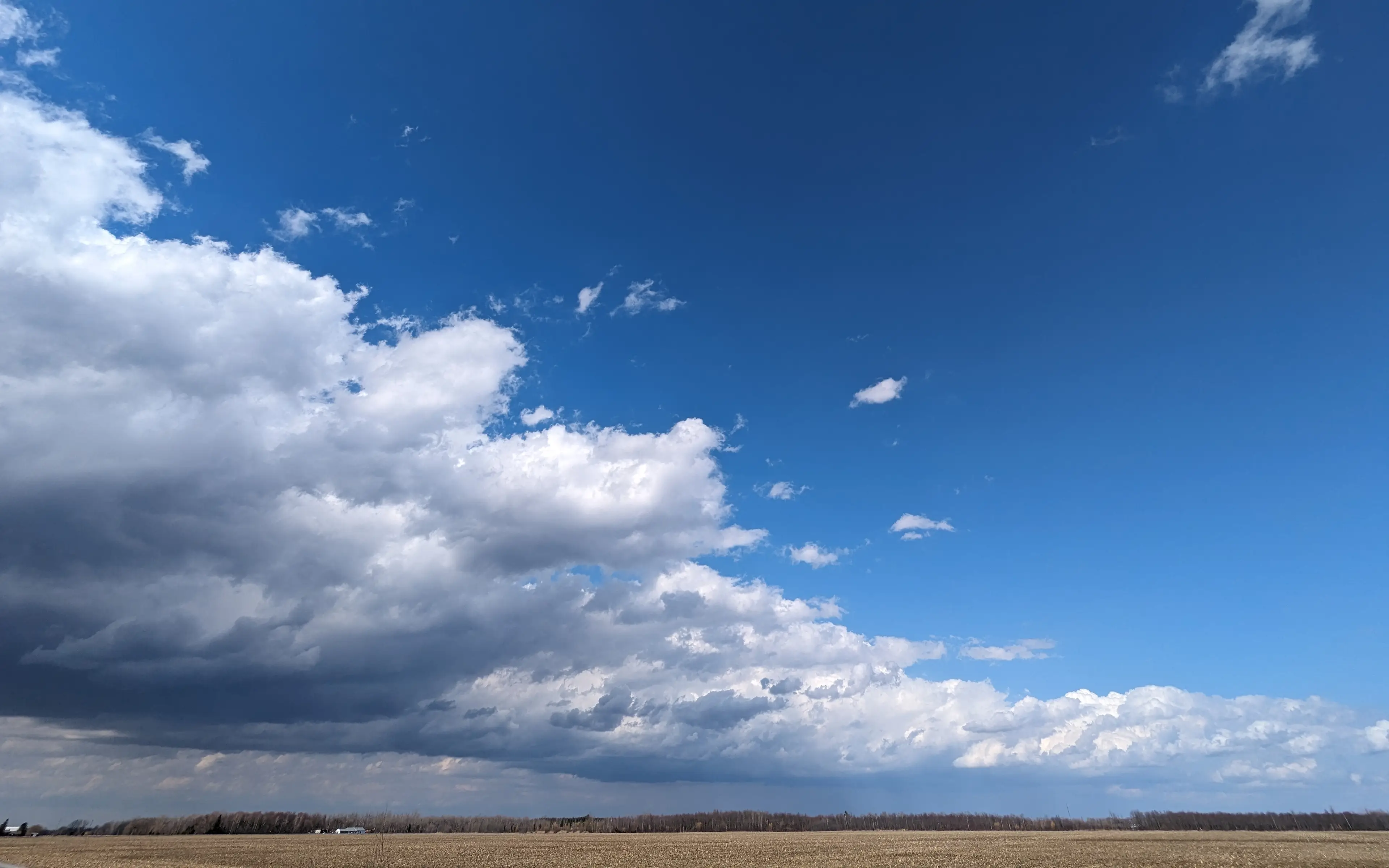 PXL_20240410_192930985