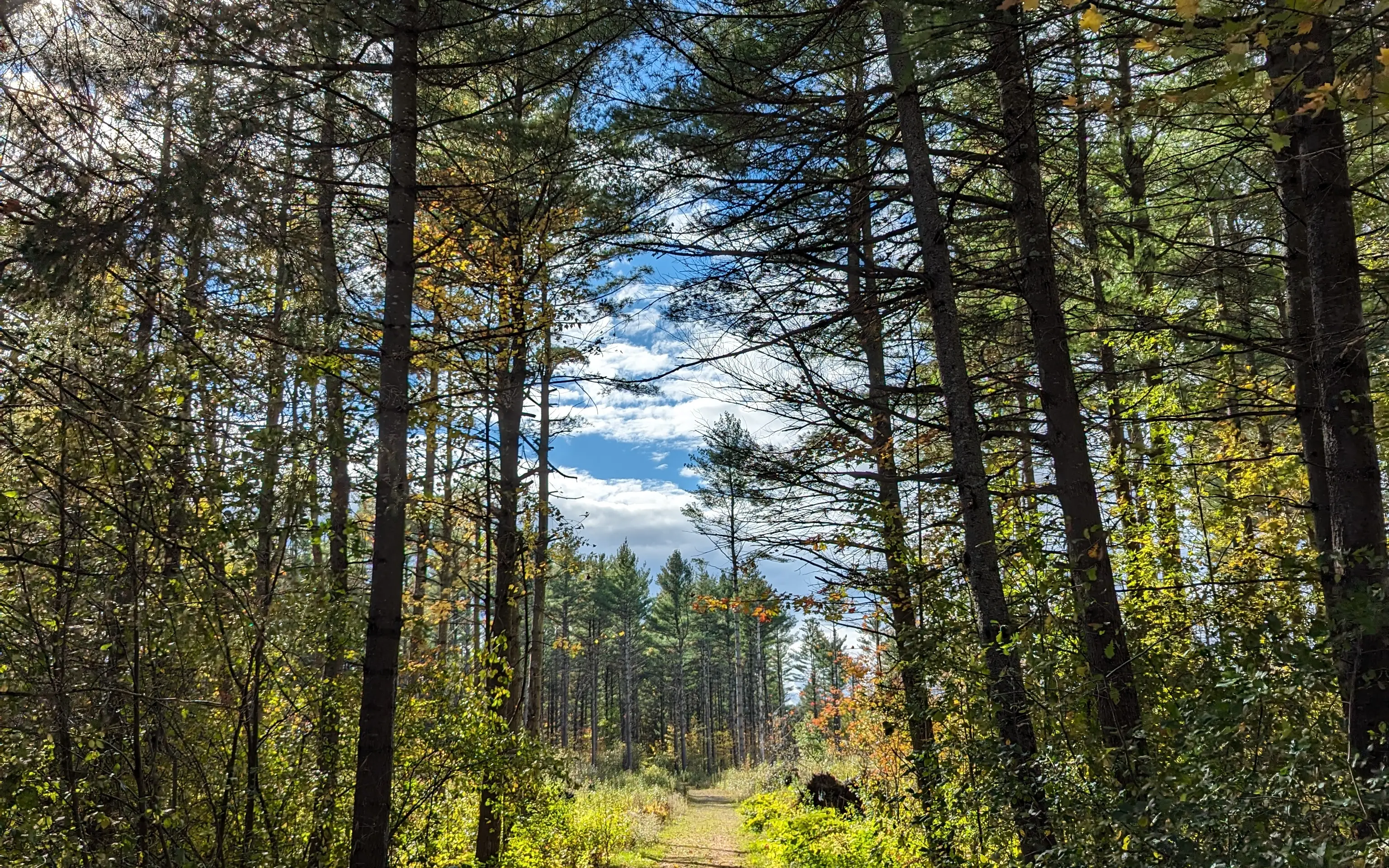 PXL_20231013_185004286