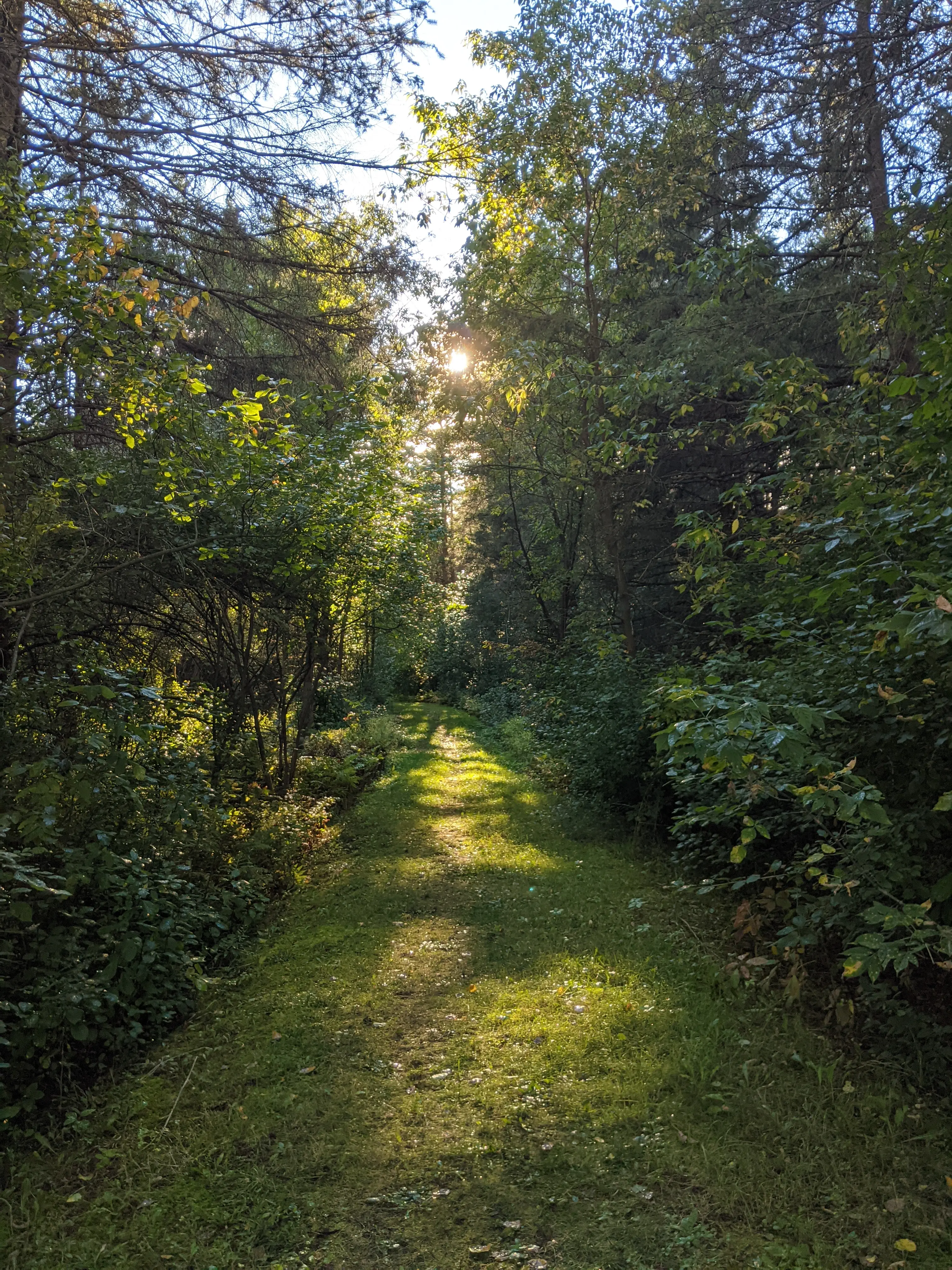 PXL_20210926_210354154